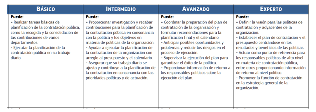 Competency matrix in table format